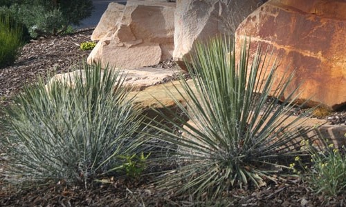 Residential Landscapes