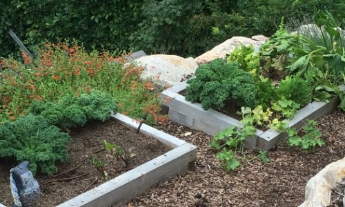 Edible Gardens