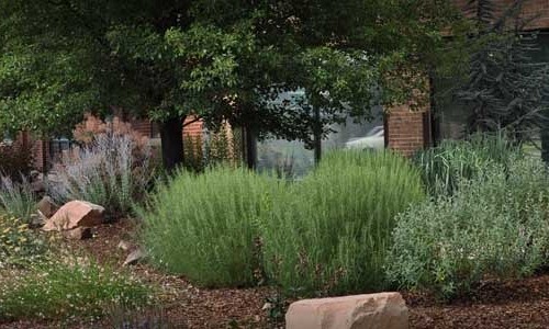 Commercial Landscaping